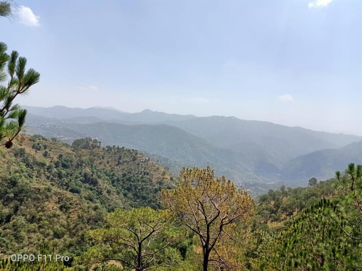 Pine Peak Villa Kasauli Exterior photo